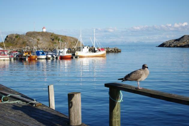 Lofoten Cabin And Kayak Rental Stamsund Exterior foto